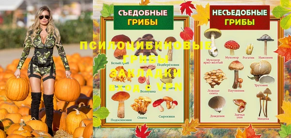 первитин Балахна